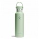 Hydro Flask Thermos Trekking Standard Flex Cap Aloe