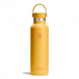 Hydro Flask Thermos Trekking Standard Flex Cap Sunbeam