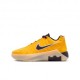 Nike Lebron Witness Ix Gs Amarillo Purple Yell - Scarpe Basket Bambino