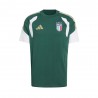 Adidas T-Shirt Italia Training Cotton Verde Uomo