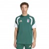 Adidas T-Shirt Italia Training Cotton Verde Uomo