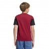 Adidas T-Shirt Training Germania Rosso Bambino