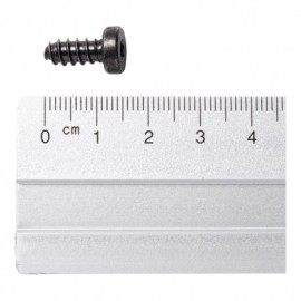 Dynafit Pan Torx Screws Back Unit