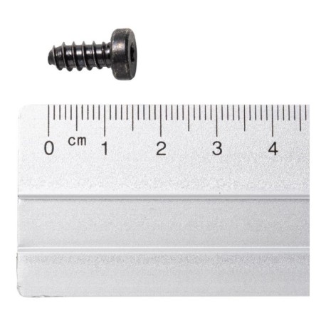 Dynafit Pan Torx Screws Back Unit