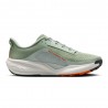 Nike Acg Pegasus Jade Horizon Phantom-Light Argento - Scarpe Trail Running Uomo