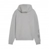 Puma Felpa Palestra Con Cappuccio Hyrox Grigio Uomo