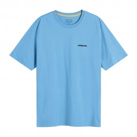 P-6 logo Shore blue