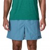 Patagonia Pantaloni Corti Trekking Baggies Shore Blue Uomo
