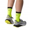 Dynafit Trail Nimbus - Scarpe Trail Running Uomo