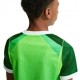 Nike Nigeria 2026 Stadium Home Maglia Maniche Corte Verde Bianco Bambino