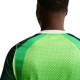 Nike Nigeria 2026 Stadium Home Maglia Maniche Corte Verde Bianco Uomo