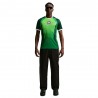 Nike Nigeria 2026 Stadium Home Maglia Maniche Corte Verde Bianco Uomo