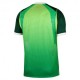 Nike Nigeria 2026 Stadium Home Maglia Maniche Corte Verde Bianco Uomo
