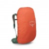 Osprey Zaino Trekking Stratos 36 Pine Leaf