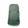 Osprey Zaino Trekking Stratos 36 Pine Leaf