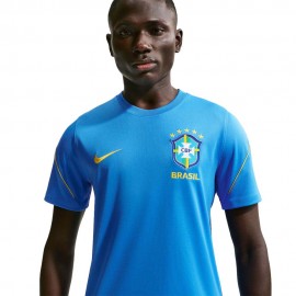 Nike Brasile Strike Maglia Maniche Corte Blu Verde Oro Uomo