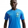 Nike Brasile Strike Maglia Maniche Corte Blu Verde Oro Uomo