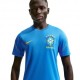 Nike Brasile Strike Maglia Maniche Corte Blu Verde Oro Uomo