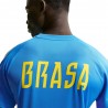 Nike Brasile Strike Maglia Maniche Corte Blu Verde Oro Uomo