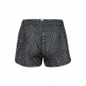 Arena Pantaloncini Mare Fantasia Zebra Verde Donna