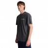Billabong T-Shirt Fantasia California Grigio Uomo