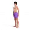 Arena Pantaloncini Mare Solid Viola Bambino