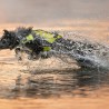 Axaeco Giubbotto Salvagente Aquadog