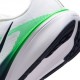 Nike Air Zoom Pegasus 42 Bianco Blu Verde - Scarpe Running Uomo