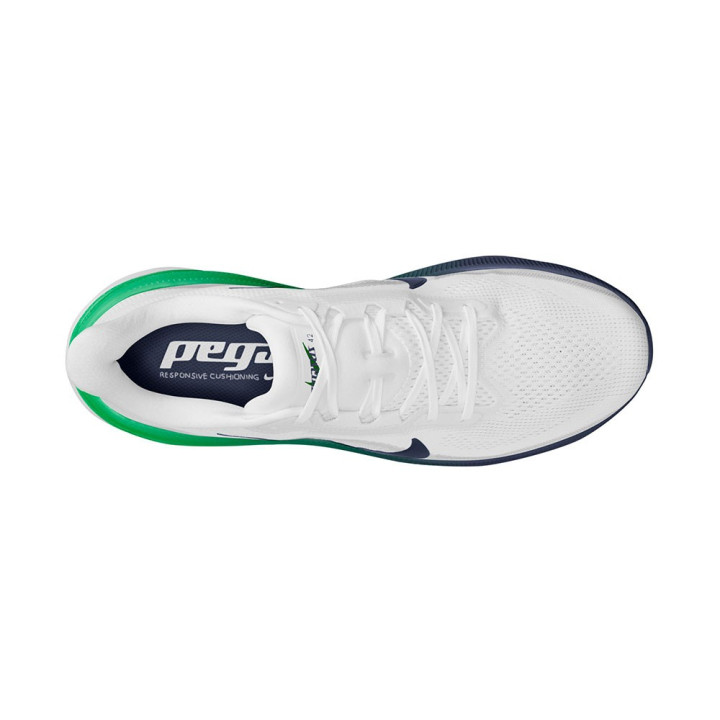 Nike Air Zoom Pegasus 42 Bianco Blu Verde - Scarpe Running Uomo