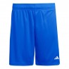 ADIDAS Pantaloncini Calcio Entrada 26 Blu Bianco Uomo