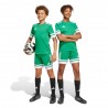 ADIDAS Pantaloncini Calcio Squadra 25 Verde Bianco Bambino