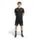 ADIDAS Maglia Maniche Corte Juve Training Eu Nero Oro Uomo