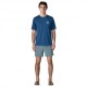 Patagonia T-shirt Cap Cool day Graphic Blu Clement Uomo