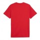 Puma Maglia Maniche Corte Ac Milan Rosso Bianco Uomo