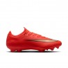 Nike Vapor 17 Pro Fg Rosso Oro - Scarpe Da Calcio Uomo