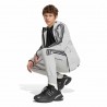 ADIDAS Originals Teamgeist Pantaloni Con Polsino Spacer Grigio Uomo