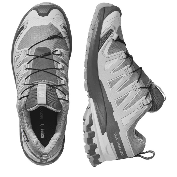 Salomon Xa Pro 3D V9 GORE-TEX Alloy Castelrock Lunar Ro - Scarpe Hiking Donna