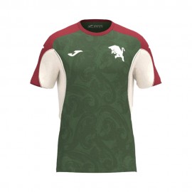Joma Sport Maglia Maniche Corte Torino Training Verde Bianco Uomo