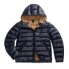Blauer Piumino Con Cappuccio Adams Blu Uomo