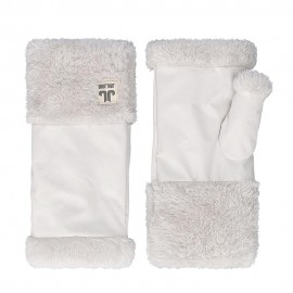 Glacier Mitten ice