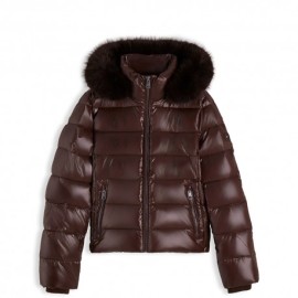 Tommy Hilfiger Piumino Corto Gloss Moro Donna