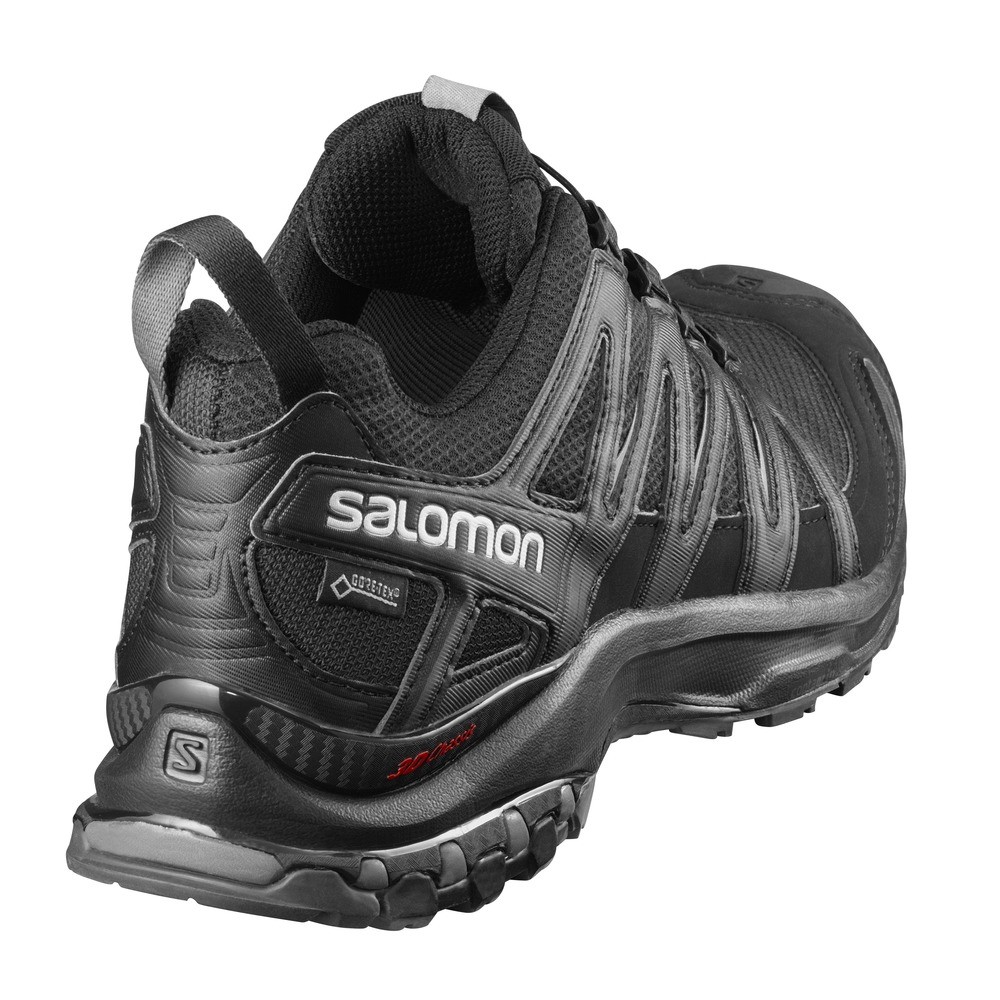 salomon scontate