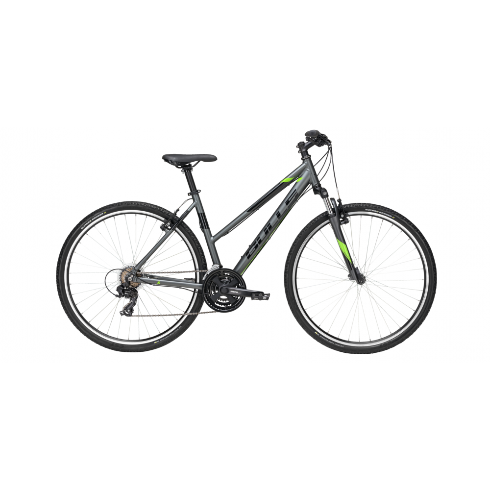 bicicletta bulls