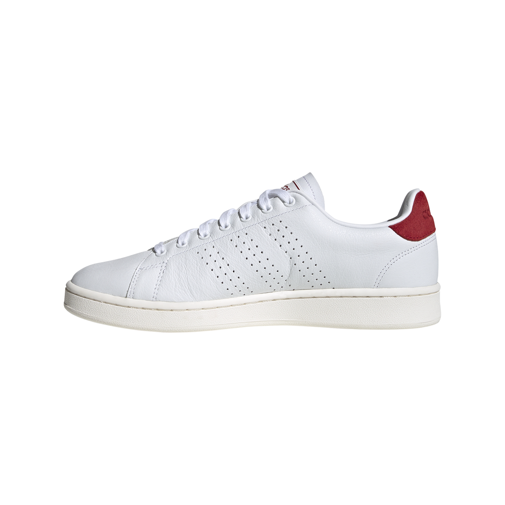 adidas advantage uomo