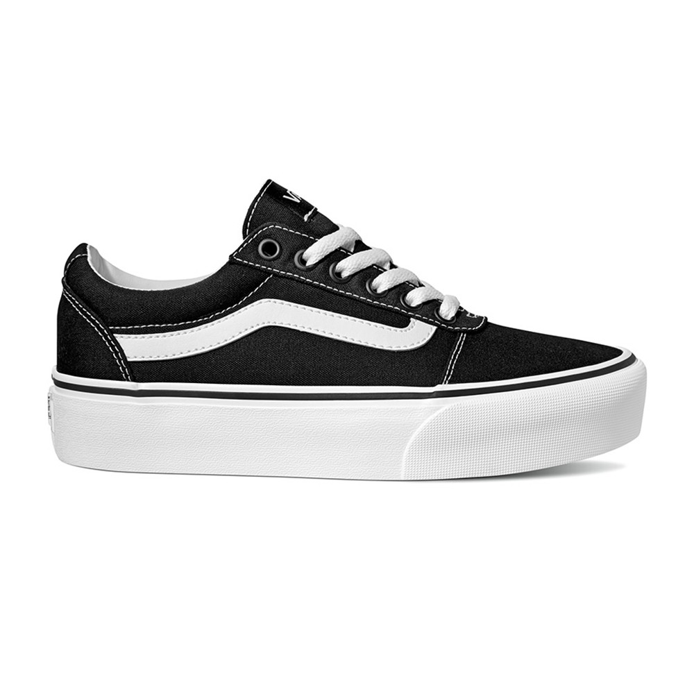 vans canvas