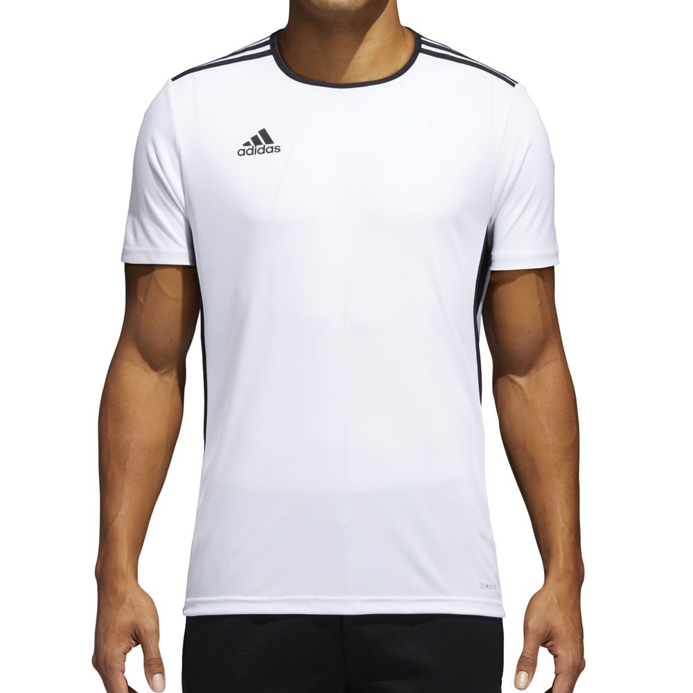 ADIDAS maglia calcio entrada 18 team bianco nero uomo - Acquista online su  Sportland