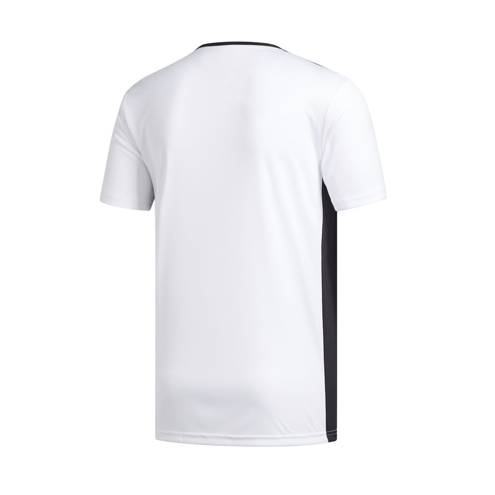 maglia adidas entrada 12