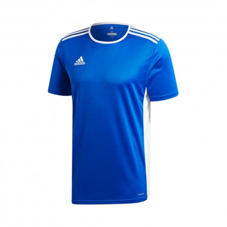 ADIDAS maglia calcio entrada 18 team royal bianco uomo