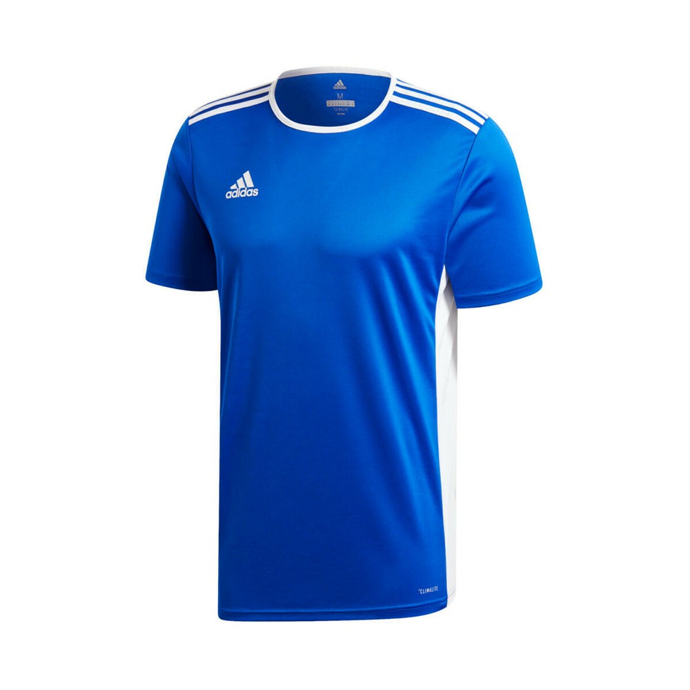 ADIDAS maglia calcio entrada 18 team blu royal bianco uomo - Acquista  online su Sportland