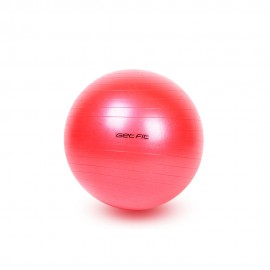 Get Fit Fitball 55 Cm Antiscoppio Rosso